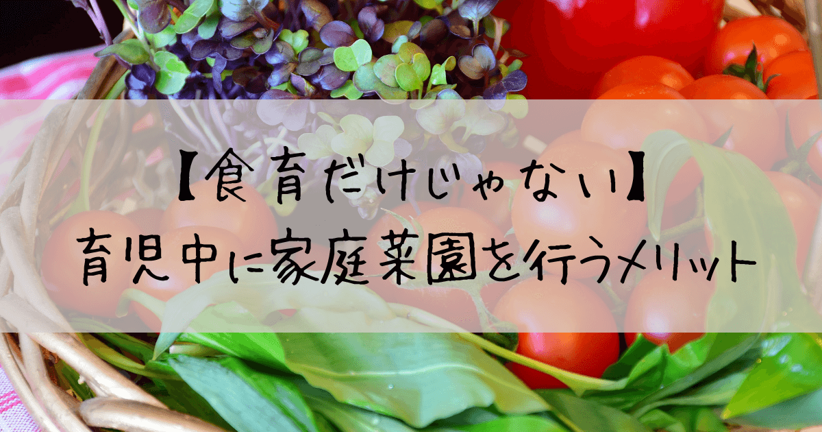 家庭菜園　食育　メリット　